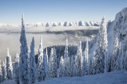 Paesaggio da fiaba sulle montagne innevate di Fernie, British Columbia, Canada.

