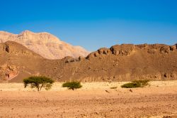 Paesaggio dal Timna National Park nei pressi di Eilat, Israele. In questa terra desertica israeliana a una ventina di minuti da Eilat si possono ammirare le colonne di Salomone, il Red Canyon ...