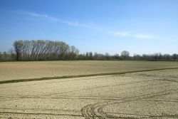 Paesaggio della pianura Padana sulle rive del fiume Po, non lontano da Roccabianca