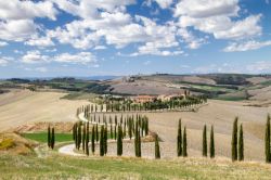 Paesaggio della Val d'Orcia, Toscana, nei pressi di Buonconvento. A poco più di 15 km dal borgo si trova questa splendida vallata al confine con l'Umbria - © Kokophotos / ...