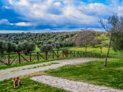 Paesaggio delle campagne intorno a Canino nel Lazio