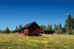 La regione dello Småland, nella Svezia meridionale, fu il luogo in cui nacque e crebbe Astrid Lindgren. Qui, nei pressi di Vimmerby, si trova anche il Parco Nazionale Norra Kvill - ...