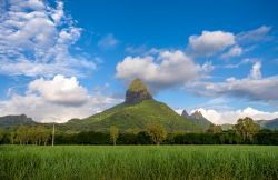 Paesaggio e montagne sull'isola di Mauritius - Il verde della vegetazione che ricopre il paesaggio e i monti di Mauritius si mescola con l'azzurro del cielo e il bianco delle nuvole ...