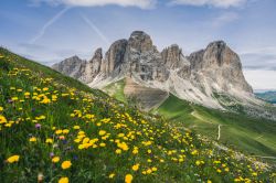 Paesaggio estivo al Passo Sella con le cime del Sassopiatto e Sassolungo, Santa Cristina, Val gardena, Trentino Alto Adige. Questo valico delle Dolomiti, situato a 2240 metri s.l.m., mette in ...