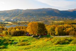 Paesaggio estivo intorno a Geilo in Norvegia