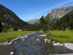 Paesaggio estivo nei dintorni di Cauterets, Alti Pirenei, Francia. Il borgo si trova in una stretta valle attraversata dal fiume Gave de Cauterets ed è dedito a pastorizia e agricoltura. ...