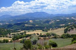 Paesaggio estivo tra le montagne di Carpegna nel Montefeltro, regione Marche