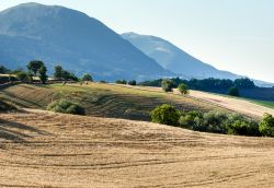 Paesaggio in estate sull'Appennino intorno a  Camerino, nelle Marche