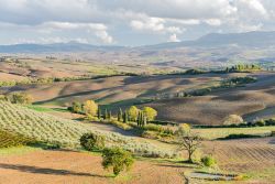 Paesaggio in Val d'Orcia  in Toscana vicino a Bagni San Filippo - © DiegoMariottini / Shutterstock.com