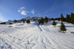 Paesaggio innevato sulle Alpi svizzere nel villaggio di Ovronnaz in una giornata di sole con il cielo azzurro.

