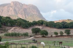 Paesaggio intorno ad Afa, non lontano da Ajiaccio e Bocognano in Corsica