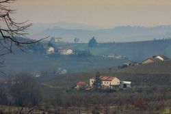 Paesaggio invernale delle colline di Nizza Monferrato in Piemonte