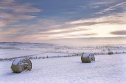 Paesaggio invernale innevato nelle campagne di Lincoln, Inghilterra.
