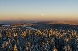 Paesaggio invernale nei pressi di Rogla, Slovenia. Una distesa di alberi fotografati con le luci dell'alba e ricoperti da una spolverata di neve.



