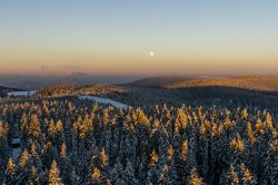 Paesaggio invernale nei pressi di Rogla, Slovenia. Una distesa di alberi fotografati con le luci dell'alba e ricoperti da una spolverata di neve.



