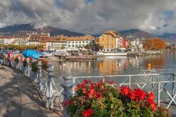 Paesaggio lungo l'argine di Vevey, cantone Vaud, Svizzera. Per ammirare gli angoli più suggestivi del paese si può passeggiare lungolago fra palme e fiori - © hdesislava ...