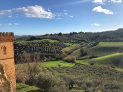 Paesaggio marchigiano nei presso di Cartoceto, provincia di Pesaro ed Urbino