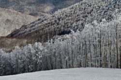 Paesaggio montano ghiacciato nei pressi di Laceno, Campania. La singolare forma a conca che caratterizza l'altopiano fa si che ci siano forti inversioni termiche in tutte le stagioni: nei ...