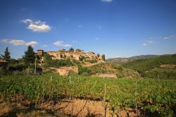 Il paesaggio naturale attorno al villaggio di Montefioralle, provincia di Firenze, Toscana.
