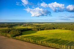 Paesaggio naturale del Brandeburgo, uno dei Land della Germania