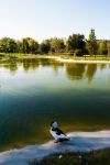 Paesaggio nei dintorni di Morciano di Romagna, Emilia Romagna. Questo grazioso paesino si trova a metà strada fra la Riviera romagnola e le Colline dell'Appennino tosco-romagnolo.
 ...