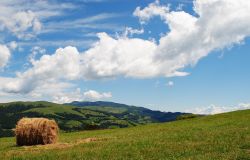 Paesaggio nei dintorni di Solagna in Veneto, provincia di Vicenza - © kokimimi, CC BY-SA 3.0, Wikipedia