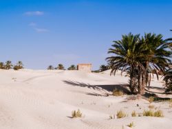 Paesaggio nei pressi dell'oasi di Douz (Tunisia): sabbia bianca, cielo azzurro e palme.

