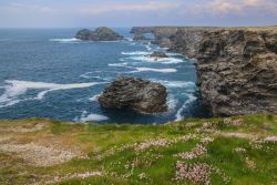 Paesaggio primaverile della costa rocciosa Atlantica a Belle Ile en Mer, Francia. L'isola di Belle Ile si trova al largo della costa della Bretagna a 14 chilometri dalla penisola del Quiberon. ...