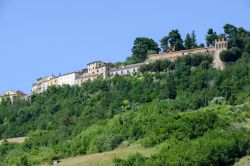 Paesaggio rurale di Ripatransone nelle Marche, Italia. Il territorio che circonda questo bel borgo marchigiano è adatto alla coltivazione mediterranea, in particolare dell'olio e ...
