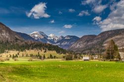 Paesaggio rurale nei pressi del lago di Bohinj, Slovenia. Sullo sfondo le montagne della Slovenia, alcune con le cime innevate.


