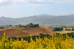 Paesaggio rurale nelle campagne di Civitella Paganico in Toscana
