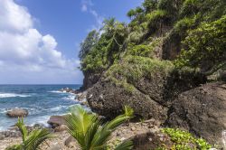 Paesaggio selvaggio in Dominica nei pressi di Petite Soufriere