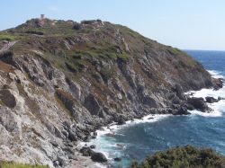 Paesaggio selvaggio sull'isola di Embiez, Francia. Questi luoghi sono stati frequentati a partire dall'XI° secolo dai monaci che ne sfruttarono le saline sino all'acquisizione ...