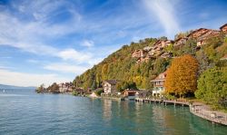 Paesaggio autunnale sul Lago di Thun vicino alla località di Oberhofen, nel Cantone Bernese - © Fedor Selivanov  / Shutterstock.com