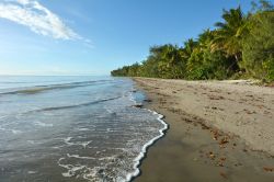 Un paesaggio tropicale con le onde che si infrangono sulla Four Mile Beach a Port Douglas nel nord del Queensland, Australia.

