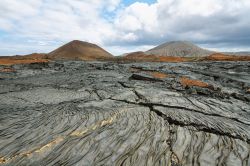 Considerato uno dei luoghi vulcanicamente più attivi della terra, l'arcipelago delle Galapagos offre paesaggi lavici a dir poco spettacolari come quello qui fotografato sull'isola ...