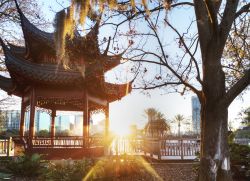 Pagoda in un giardino di Orlando, Florida - Ad impreziosire un parco pubblico di Orlando c'è la bella architettura di un edificio destinato principalmente a scopi religiosi, ma non ...