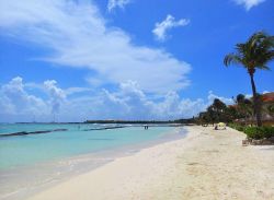 Palme da cocco su una spiaggia di sabbia bianca di fronte ad un resort di Puerto Aventuras, Riviera Maya, Messico.

