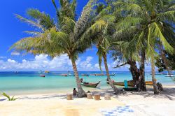 Palme e barche tipiche sull'isola di Koh Tao, Thailandia. Siamo in un paradiso tropicale nella provincia di Surat Thani.

