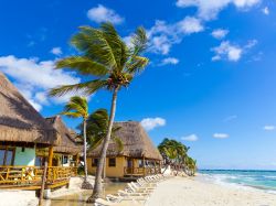 Palme e capanne con il tetto in paglia a Playa del Carmen, Messico - © posztos / Shutterstock.com