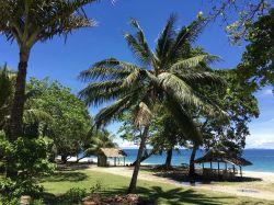 Palme e capanne in paglia a Eden Bay Beach nei pressi di Honiara, isole Solomone.
