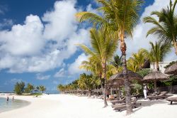 Palme sulla spiaggia di Belle Mare, Mauritius - Sabbia bianca, cielo cristallino con nuvole bianche e palme verdeggianti sono la perfetta cornice per una vacanza in questo angolo di Mauritius, ...