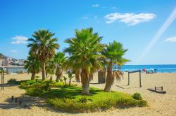 Palme sulla spiaggia di Fuengirola, Andalusia, Spagna. Vegetazione e giardini sono il fiore all'occhiello della città che vanta ben 350 mila metri quadrati di aree verdi - © ...