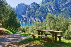 Panche e tavolo in legno sulle sponde del lago di Garda a Riva, Trentino Alto Adige. Immerso nella natura questo angolo di Trentino è perfetto per  un pic-nic lungolago - © ...