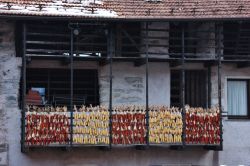 Pannocchie di granoturco appesi a un balcone ad essiccare, Rango, Trentino Alto Adige. Questa antica frazione del Comune di Bleggio Superiore è considerata uno dei borghi più suggestivi ...