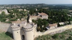 Panorama aereo del forte di Saint-André a Villeneuve-les-Avignon, Francia: è una fortificazione posta sul Monte Andaon e risale alla prima metà del XIV° secolo. 




 ...