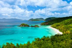 Panorama aereo della pittoresca baia Trunk con spiaggia sull'isola di St. John (Isole Vergini Americane): da molti è considerato il tratto di litorale sabbioso più bello dei ...