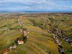 Panorama aereo della valle di Lendava, Slovenia, con i suo vigneti.
