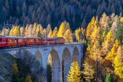 Panorama autunnale del viadotto di Landwasser con il treno turistico Glacier Express (Svizzera). Il treno prende il nome dal ghiacciaio del Rodano che in passato era posto lungo il percorso.

 ...