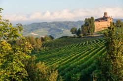 Panorama dei vigneti nei pressi di Barolo